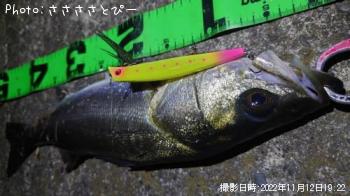 �����Х�