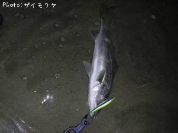 �����Х�