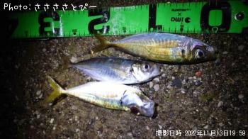 �����Х�������