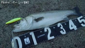 �����Х�