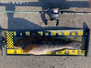 �����ʥ�