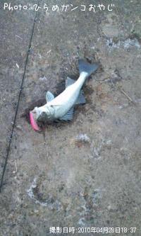 �����Х�