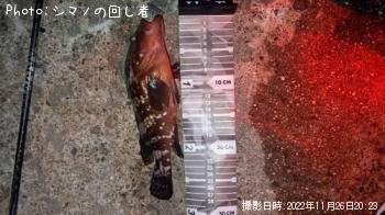 �����ϥ�