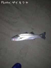 �����Х�