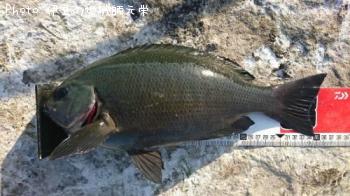 �����᥸��