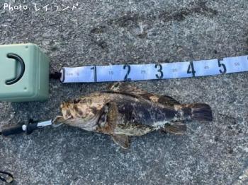 �٥å�������