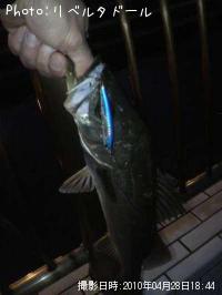 �����Х�