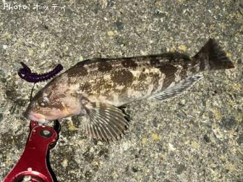 �����ʥ�