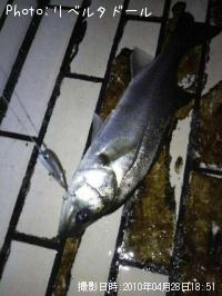 �����Х�