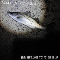 �����Х�