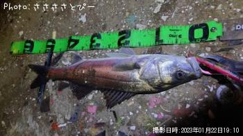 �����Х�