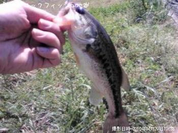 ¥Ö¥é¥Ã¥¯¥Ð¥¹