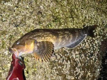 �����ʥ�