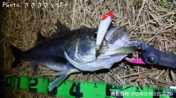 �����Х�