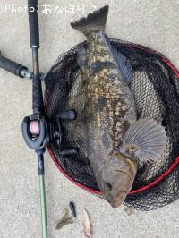 �����ʥ�