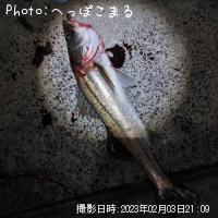 �����Х�