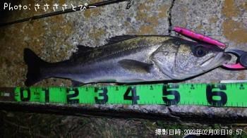 �����Х�