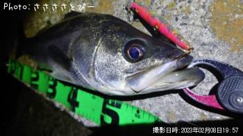 �����Х�