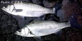 �ҥ饹����