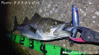 �����Х�