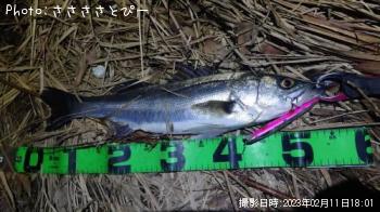 �����Х�