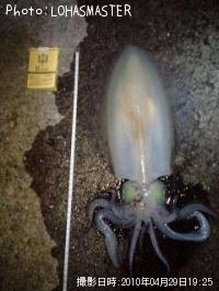 �����ꥤ��