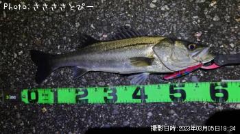 �����Х�