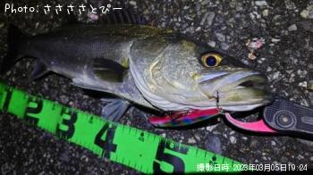 �����Х�