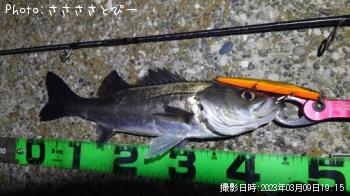 �����Х�