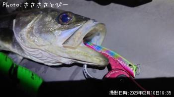 �����Х�