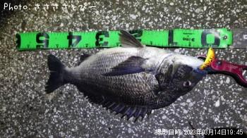 �����Х�����������