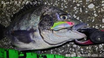 �����Х�����������