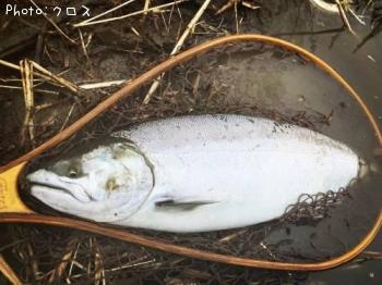 ������ޥ�