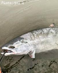 ¥µ¥¯¥é¥Þ¥¹