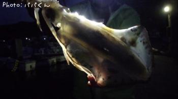 �����ꥤ��