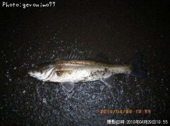 �����Х�