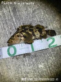 ¥¿¥±¥Î¥³¥á¥Ð¥ë