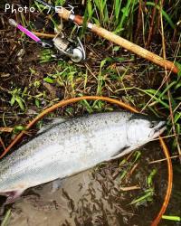 ¥µ¥¯¥é¥Þ¥¹