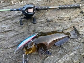 �����ʥ�