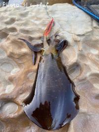 �����ꥤ��