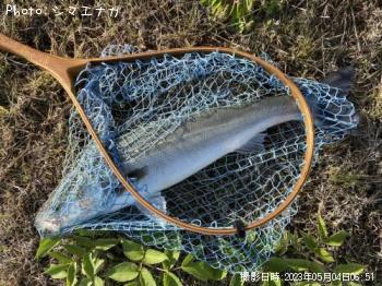 �����Х�