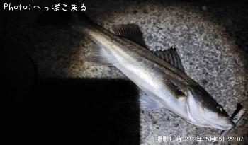 �����Х�