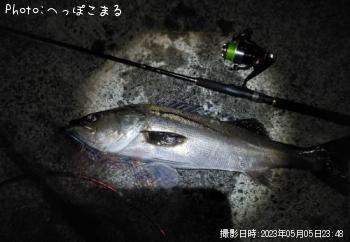 �����Х�