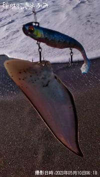 ¥·¥¿¥Ó¥é¥á