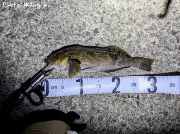 �����ʥ�