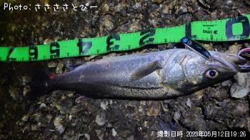 �����Х�