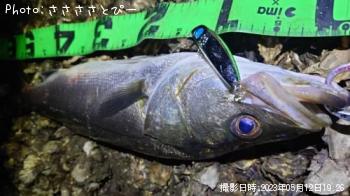 �����Х�