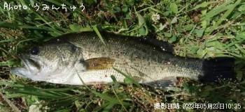 ¥Ö¥é¥Ã¥¯¥Ð¥¹