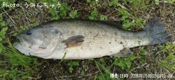 �֥�å��Х�