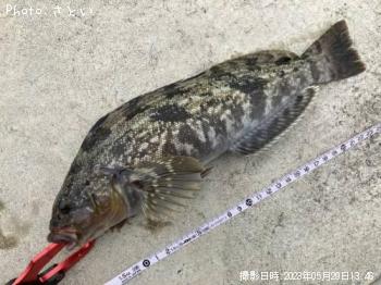 �����ʥ�